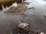  - revír: Slavkovský potok (PP)