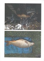 Dve fotky kapra ... 90cm a+ 16,18kg! (Vajnorské jazero.) - revír: Štrkovisko Vajnory 1